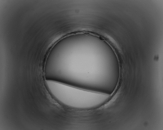 X0000101990977200807180821