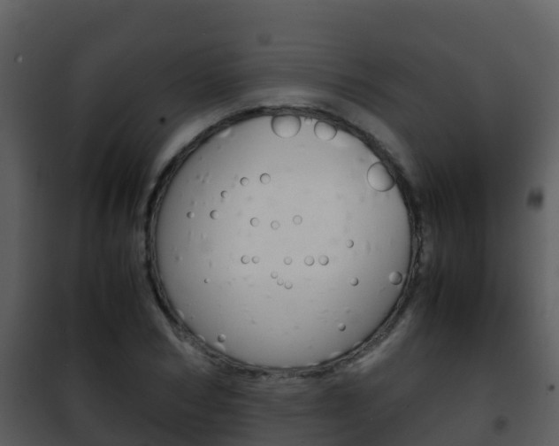X0000101990978200807180820