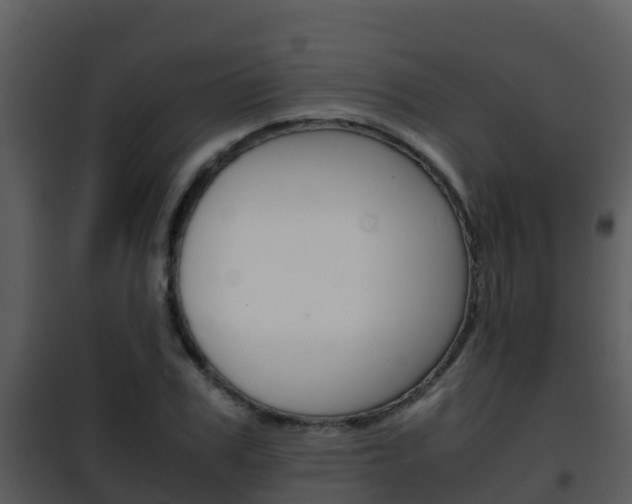 X0000101990979200807180820