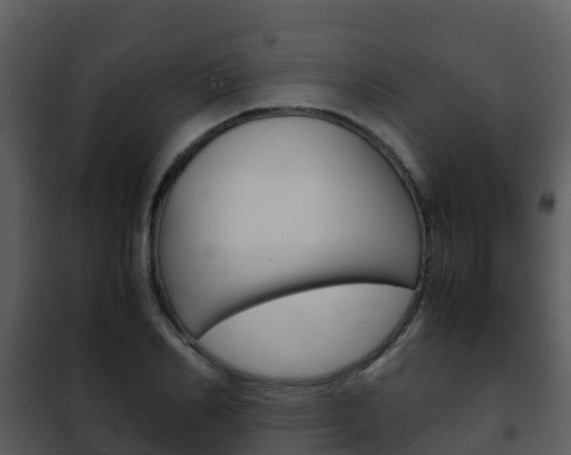 X0000101990982200807180820
