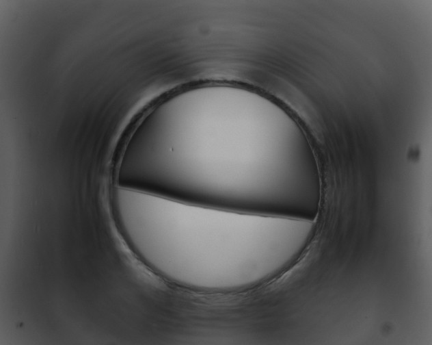 X0000101990984200807180820