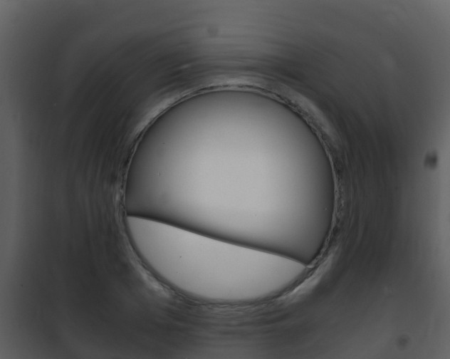X0000101990985200807180820