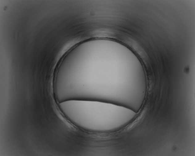 X0000101990986200807180820