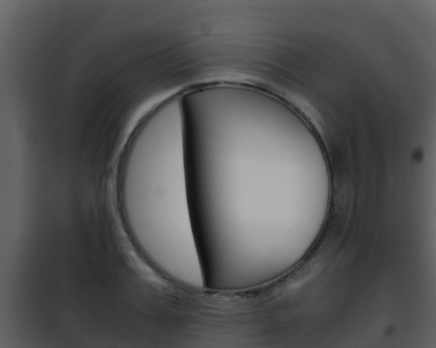 X0000101990987200807180820