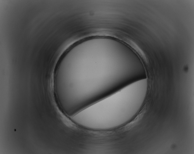 X0000101990988200807180820