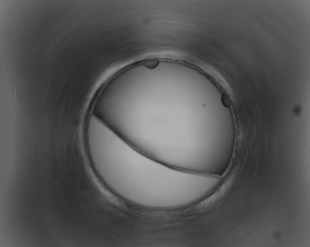 X0000101990989200807180820