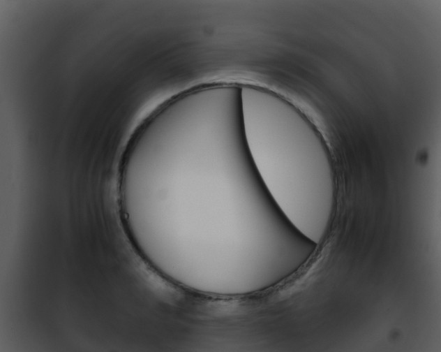 X0000101990990200807180820