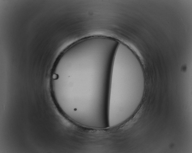 X0000101990991200807180820