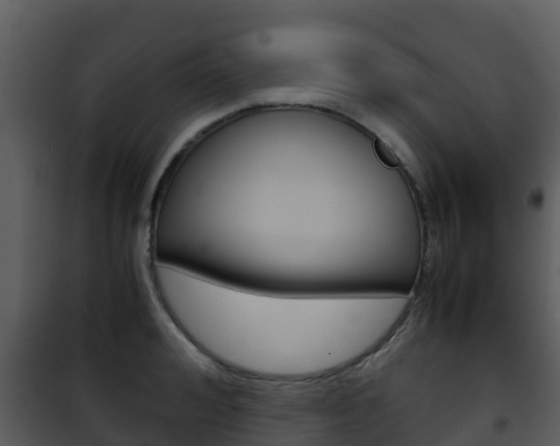 X0000101990992200807180820