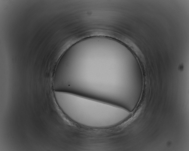 X0000101990993200807180820