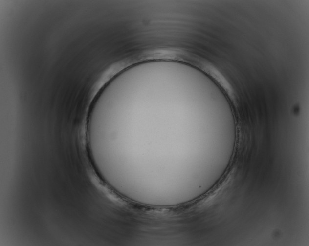 X0000101990994200807180820