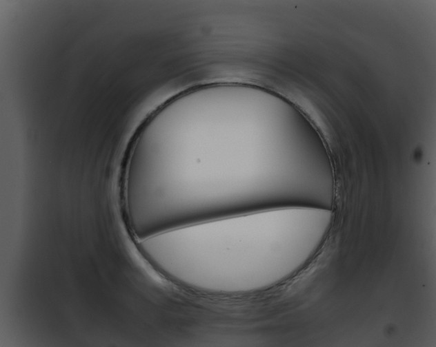 X0000101990995200807180820