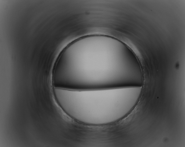 X0000101990996200807180820