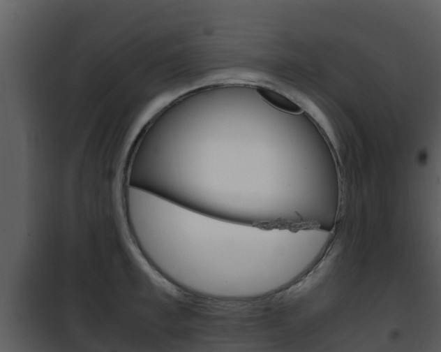 X0000101990997200807180820