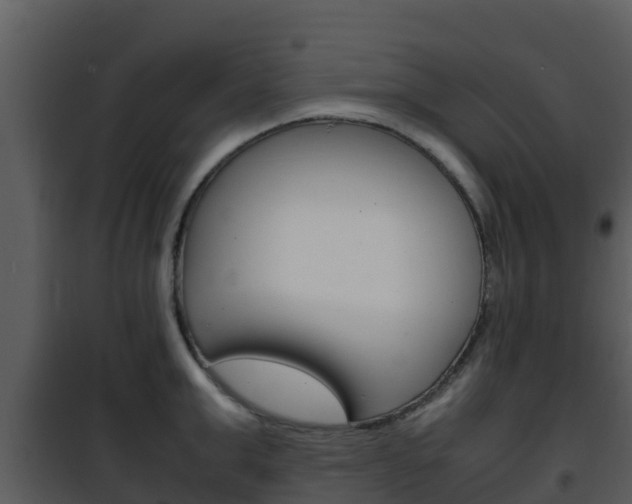 X0000101990999200807180820