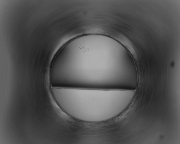 X0000101991000200807180820