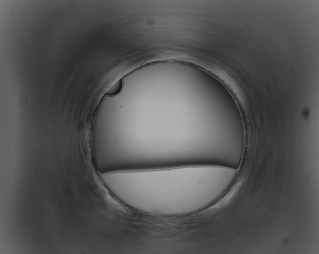 X0000101991001200807180820