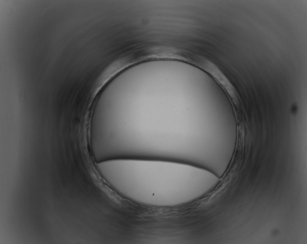 X0000101991002200807180820