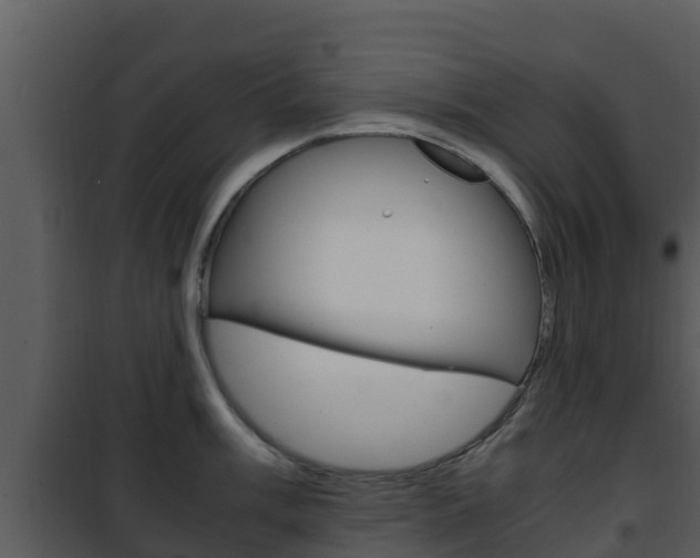 X0000101991003200807180820