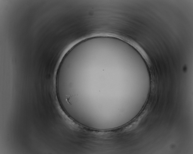 X0000101991004200807180820