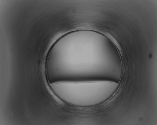 X0000101991005200807180820
