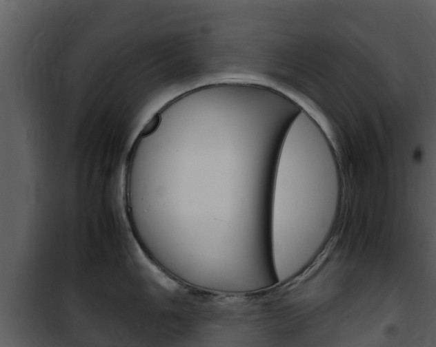 X0000101991006200807180820