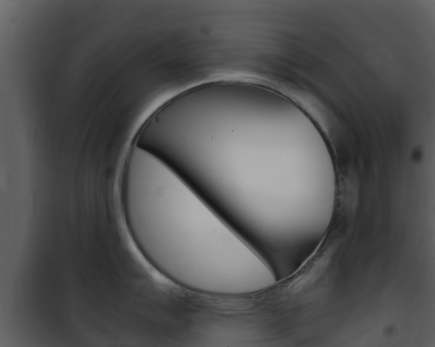 X0000101991007200807180820