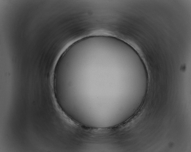 X0000101991008200807180820