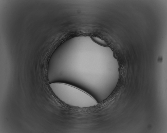 X0000101991009200807180819