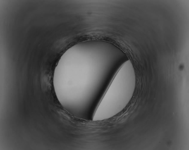 X0000101991010200807180819