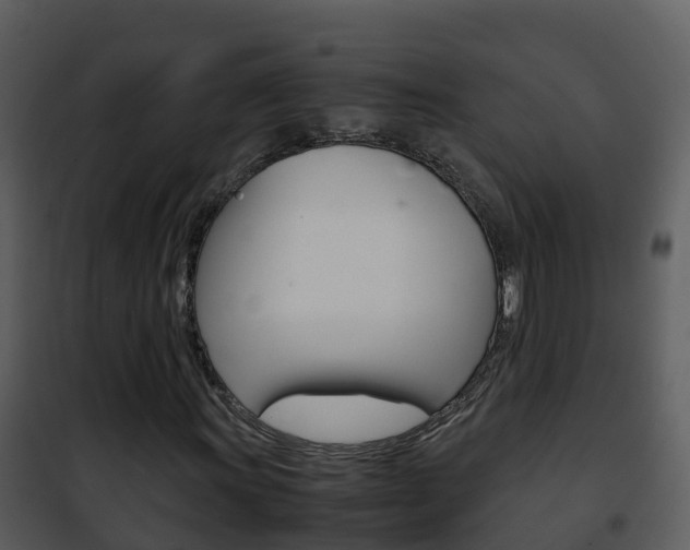 X0000101991011200807180819
