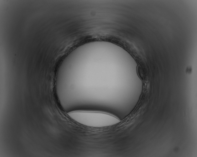 X0000101991012200807180819