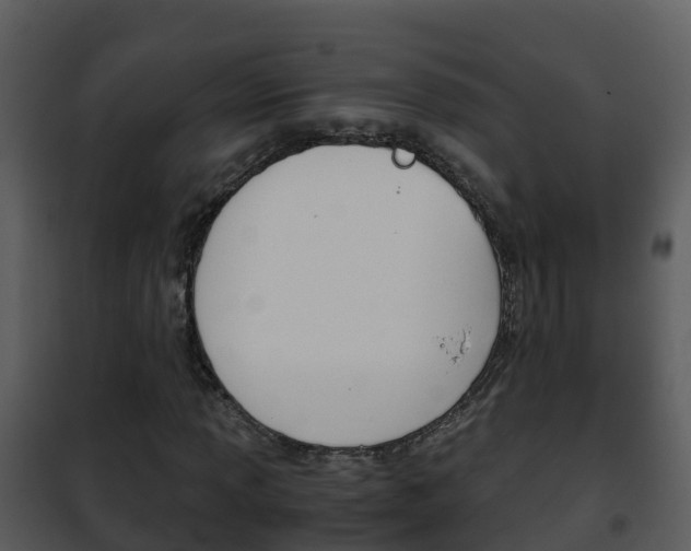 X0000101991013200807180819