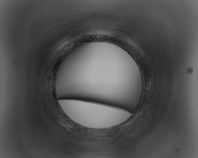 X0000101991014200807180819