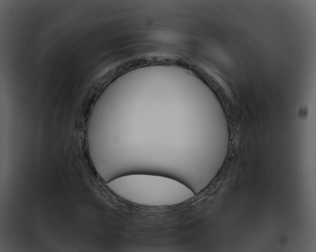 X0000101991015200807180819