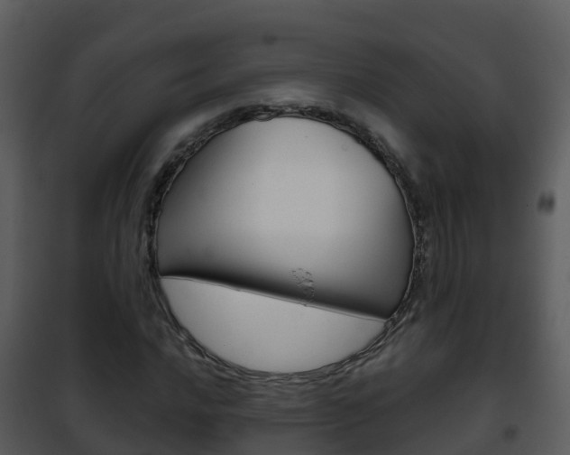 X0000101991016200807180819