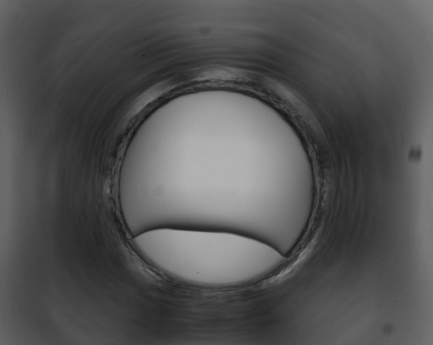 X0000101991017200807180819