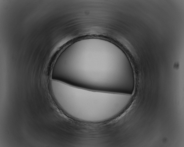 X0000101991018200807180819