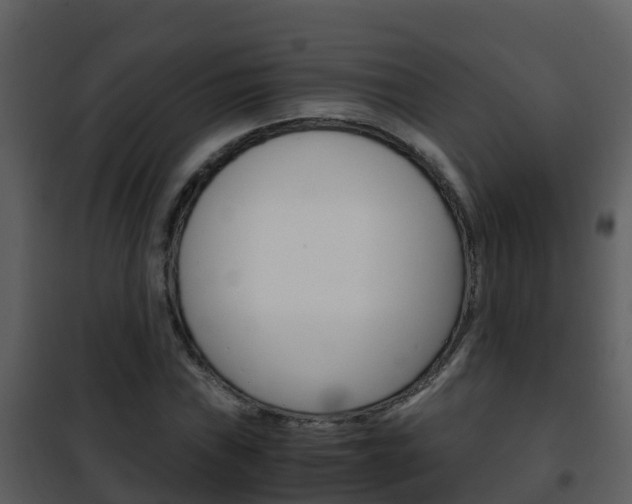 X0000101991019200807180819