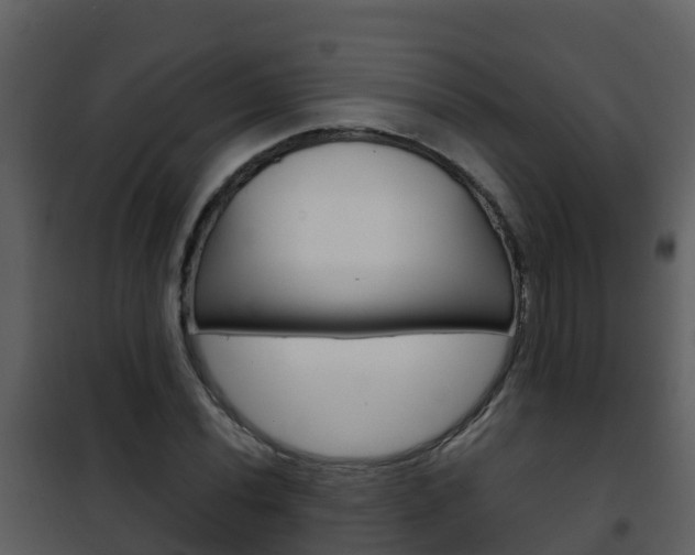 X0000101991020200807180819