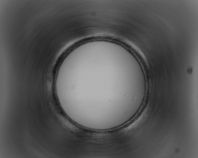 X0000101991021200807180819