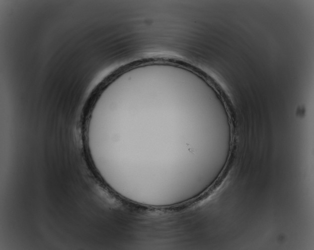 X0000101991022200807180819