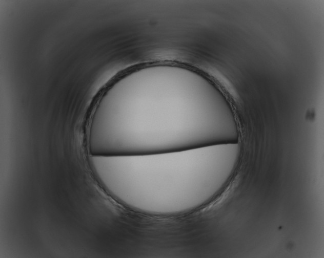 X0000101991023200807180819