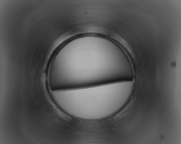 X0000101991024200807180819