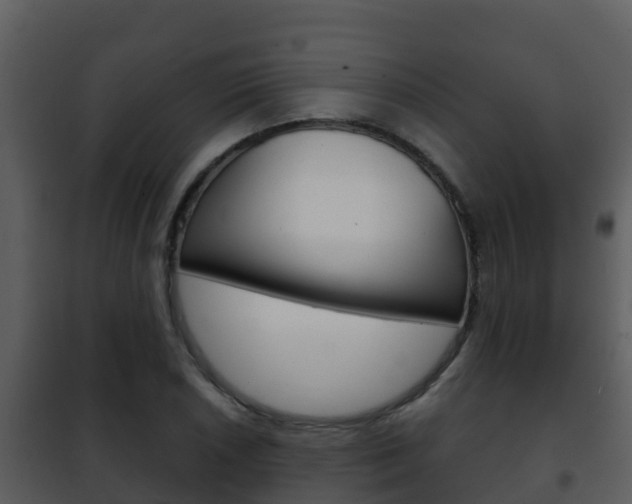 X0000101991026200807180819