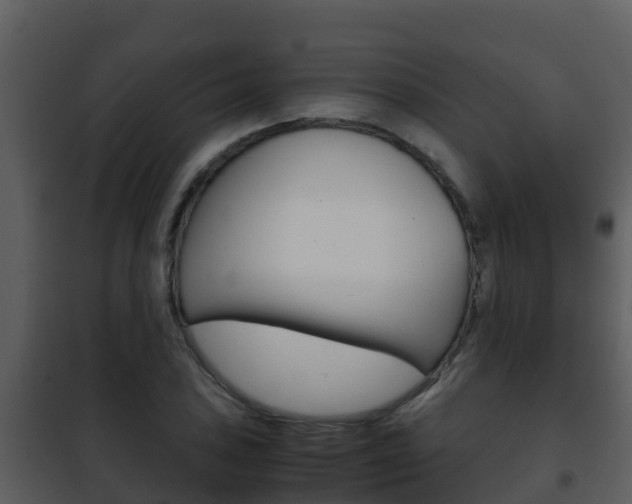 X0000101991027200807180819