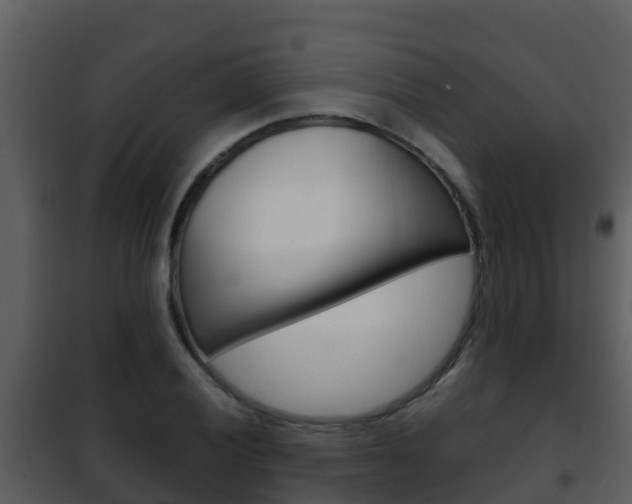 X0000101991028200807180819