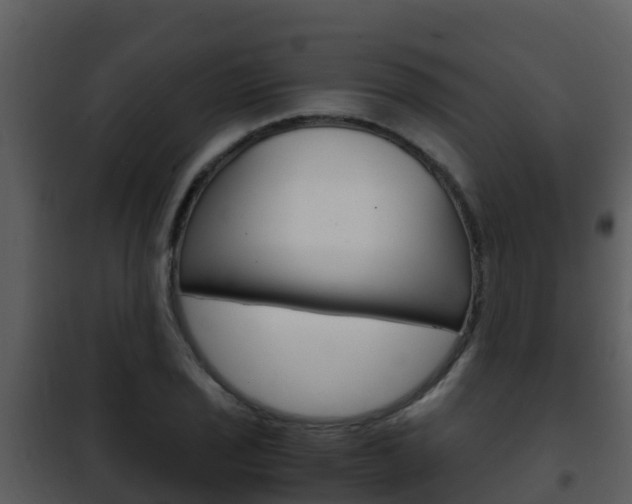 X0000101991029200807180819