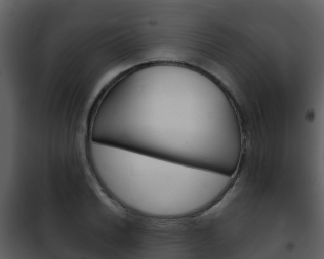 X0000101991030200807180820