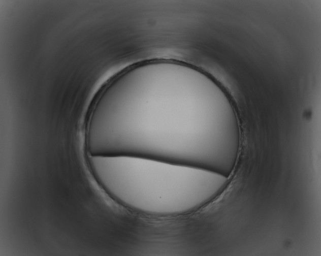 X0000101991032200807180820